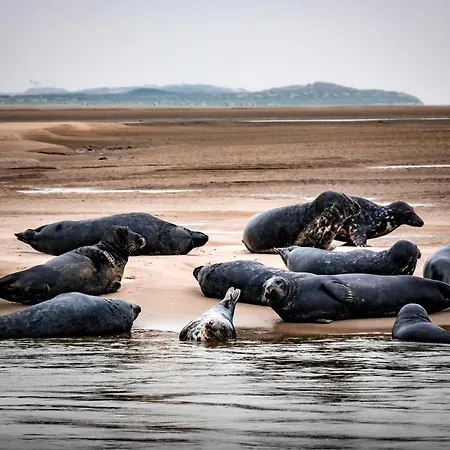 Le St-exupery - De Standing - Vue - Terrasse - Parking Privé - A 150 M De La *